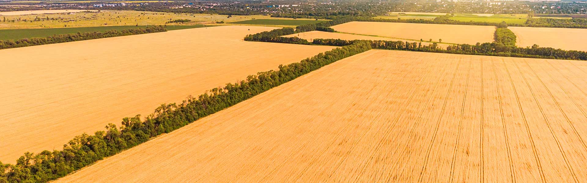 Der Verkauf landwirtschaftlicher Betriebe